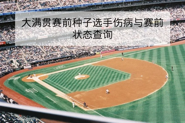 大满贯赛前种子选手伤病与赛前状态查询